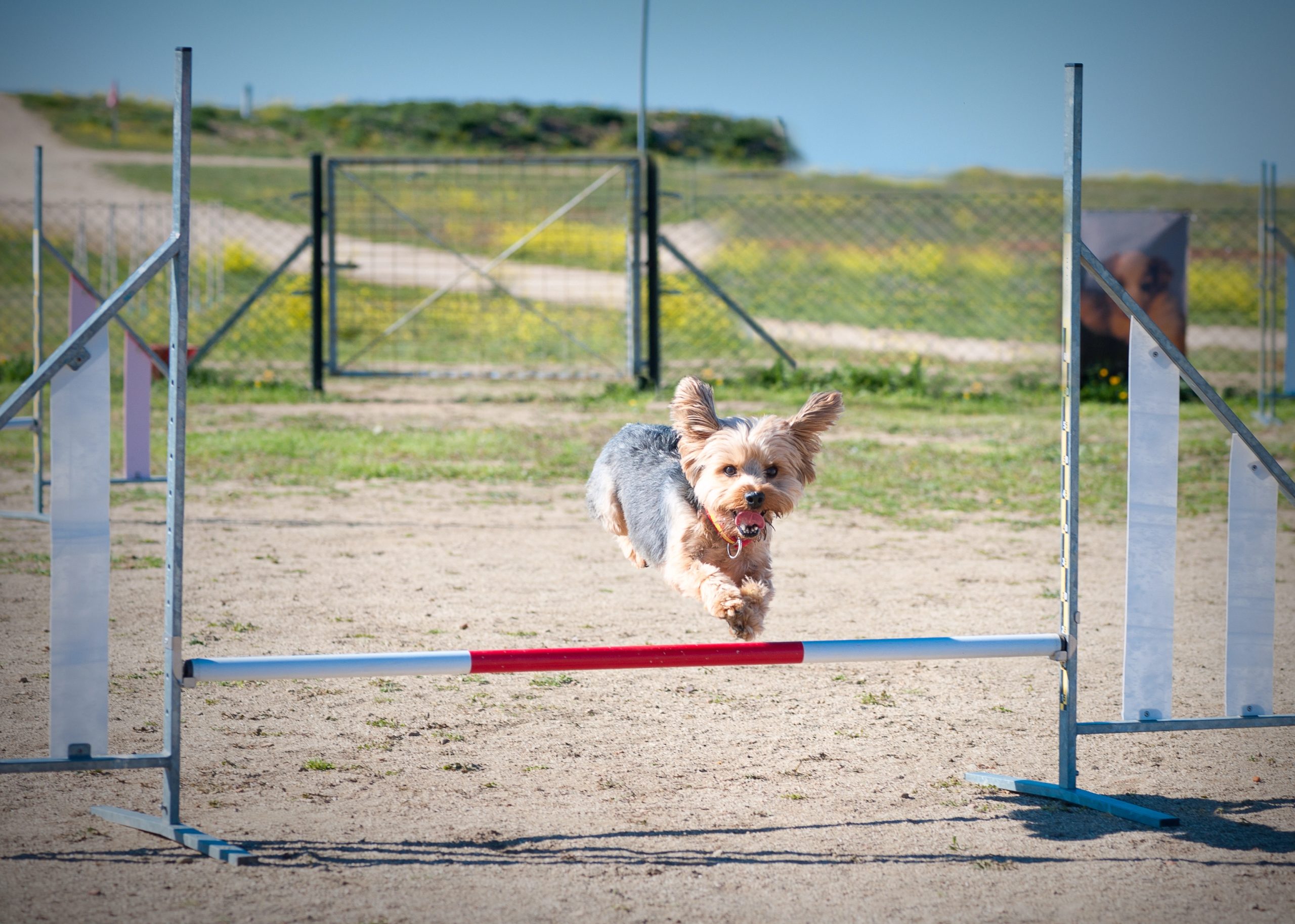 Depositphotos 196956780 XL